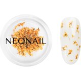 NeoNail Dried Flowers sušen cvet za nohte odtenek Orange 1 kos | Shoptok.si