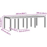  Stol za vrt Antracit 250 x 100 x 73 cm poliratan | shoptok.hr