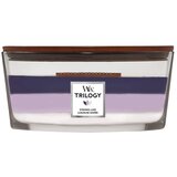 WoodWick Sveća Trilogy Ellipse Evening Luxe 1743624E Cene