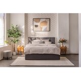 Bonami Selection Siva oblazinjena zakonska postelja z odlagalnim prostorom z ležiščem/roštom 160x200 cm Thessa Bold Line - | Shoptok.si