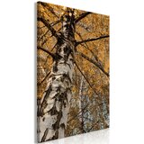  Slika - Autumn Colours (1 Part) Vertical 80x120 Cijene