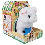White Persian Cat Walks Wags Its Tail on Batteries | shoptok.hr