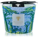 Baobab Collection Sacred Trees Yarani dišeča sveča 10 cm