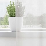 Voile zavjese s džepovima za šipke 2 kom bijele | shoptok.hr