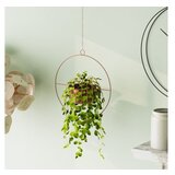 WALLXPERT Dekorativna saksija Payanda | ePonuda.com