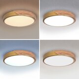 Brilagi prigušiva LED svetiljka PILANA LED/48W/230V hrast/zlatna Ø 40 cm + daljinski upravljač | Eponuda.com
