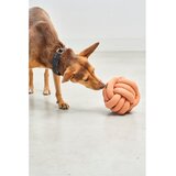 MiaCara Igrača za pse Tubo Dusty Orange – | Shoptok.si