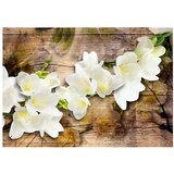  Tapeta - Freesia on Wood 400x280 | shoptok.hr