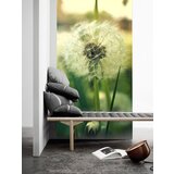  Fototapete + lepilo za tapete - cveće FTKV051V137 (popust) | shoptok.hr