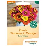 Bingenheimer Saatgut cinija "Sommer in Orange" | Shoptok.si