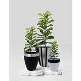 WALLXPERT decorative pot pietra 3 black grey | ePonuda.com