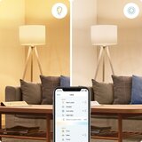 Wiz LED pametna žarulja E27, 7 W – | shoptok.hr