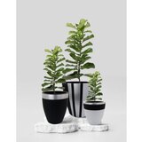 WALLXPERT decorative pot pietra 3 black grey Cene