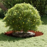  Pogodno za ravne drvene prstenove 5 pcs Smeđa Ø40 / 70 cm | shoptok.hr