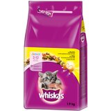 Whiskas Junior piščanec - 1,9 kg Cene