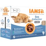  36 + 12 gratis! 48 x 85 g IAMS mokra mačja hrana - Delights Adult Sea Mix - v želeju | shoptok.hr