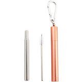 Naturalis Stainless Steel Straw Telescopic set za vsakodnevno uporabo Cene