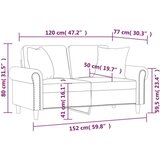 vidaXL Kavč dvosed z okrasnimi blazinami svetlo siv 120 cm žamet, (20925028) | Shoptok.si