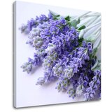  Slike na platnu cveće (moderne slike na platnu) | ePonuda.com