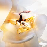 Christian Dior J´adore Parfum d´Eau parfumska voda 50 ml za ženske | Shoptok.si