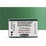  Akvarel boje Schmincke Horadam cijela posudica | 521 Hooker'S Green | shoptok.hr