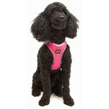  Air-Mesh - Neo Pink Ogrlica za Pse | Eponuda.com