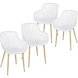 OKI SET 4 STOLICE BELLA | ePonuda.com