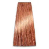 Prosalon Farba za kosu COLORART - Svetlo bakarno plava 9/04 100g Cijene