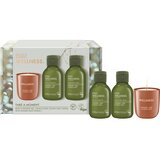 Baylis & Harding Wellness. Energise darilni set Cene