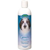 Bio Groom Šampon Groom'n fresh 355 ml Cene