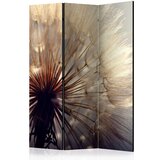  Paravan u 3 dijela - Dandelion Kiss [Room Dividers] 135x172 | shoptok.hr