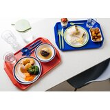  Plitvi Krožnik z Barvnim Robom, Kopoliester, 230mm | Shoptok.si