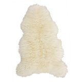 Modern Living Ovčja Koža Jenny -Akt- | Shoptok.si