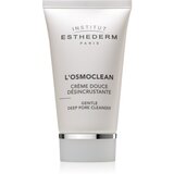 Institut Esthederm Osmoclean Gentle Deep Pore Cleanser nežna čistilna krema za zamašene pore 75 ml Cene