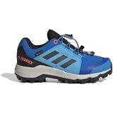 Adidas Nizke superge Terrex Gtx Modra | Shoptok.si