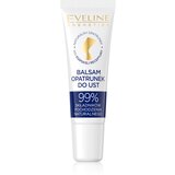 Eveline Cosmetics Egyptian Miracle hranjivi i hidratantni balzam za usne s antibakterijskim sastavom 12 ml | shoptok.hr