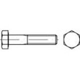 Toolcraft TO-5449356 vijak s šesterokutnom glavom M8 40 mm vanjski šesterokutni DIN 931 mjed 100 St. | shoptok.hr