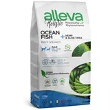 holistic adult ocean fish mini 2 kg