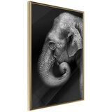  Poster - Wisdom 20x30 | shoptok.hr