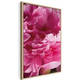  Slika - Blossom of Beauty (1-part) - Pink Peony Flower Embraced by Nature 60x90 | shoptok.hr