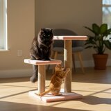 Paws & Whiskers grebalica za mačke luzi, roze | Eponuda.com