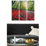 Wallity Set slika MDF89798869, 3 dijela | Eponuda.ba
