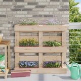  Kutije za cvijeće za Euro palete 12 pcs Smeđa | Shoptok.si