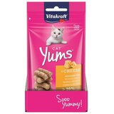 Vitakraft poslastica za mačke Cat Yums sir 40 g Cijene