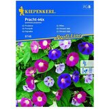 KIEPENKERL Cvetlična semena Okrasni slak Pracht Mix (Ipomoea purpurea, Raznobarvna) | Shoptok.si
