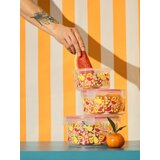 Sinsay Set posuda za hranu s poklopcem i motivom voća 3 pack | shoptok.hr
