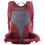 Salomon Nahrbtniki Trailblazer 20 Bordo | Shoptok.si