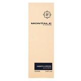 Montale Amber & Spices parfumirana voda unisex 100 ml | Shoptok.si