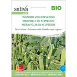 Sativa Ekološki grah "Wunder von Kelvedon" Cene