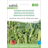 Ekološki grah "Wunder von Kelvedon"